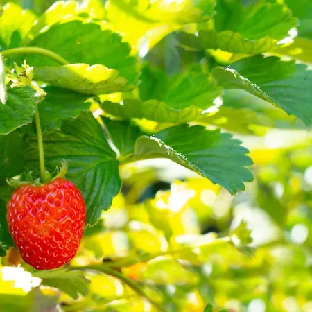 別荘 Casa Castanhas - Near Geres *