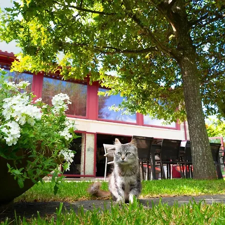 別荘 Casa Castanhas - Near Geres *