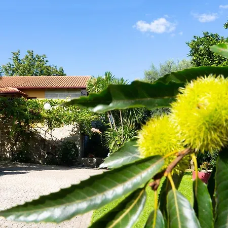 Semesterbostad Casa Castanhas - Near Geres Braga