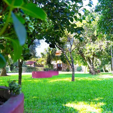 Casa Castanhas - Near Geres ブラガ