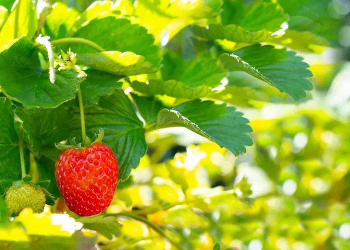 Будинок відпочинку Casa Castanhas - Near Geres *