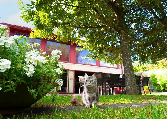 Будинок відпочинку Casa Castanhas - Near Geres *