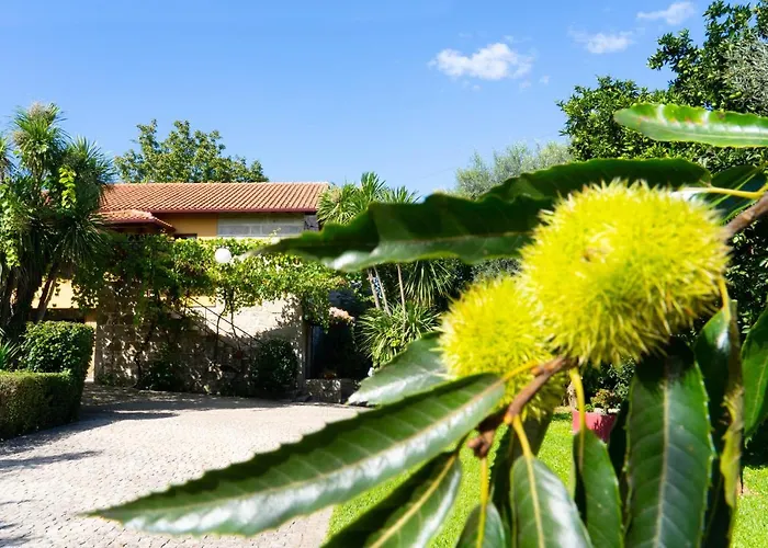 Hébergement de vacances Casa Castanhas - Near Geres Braga